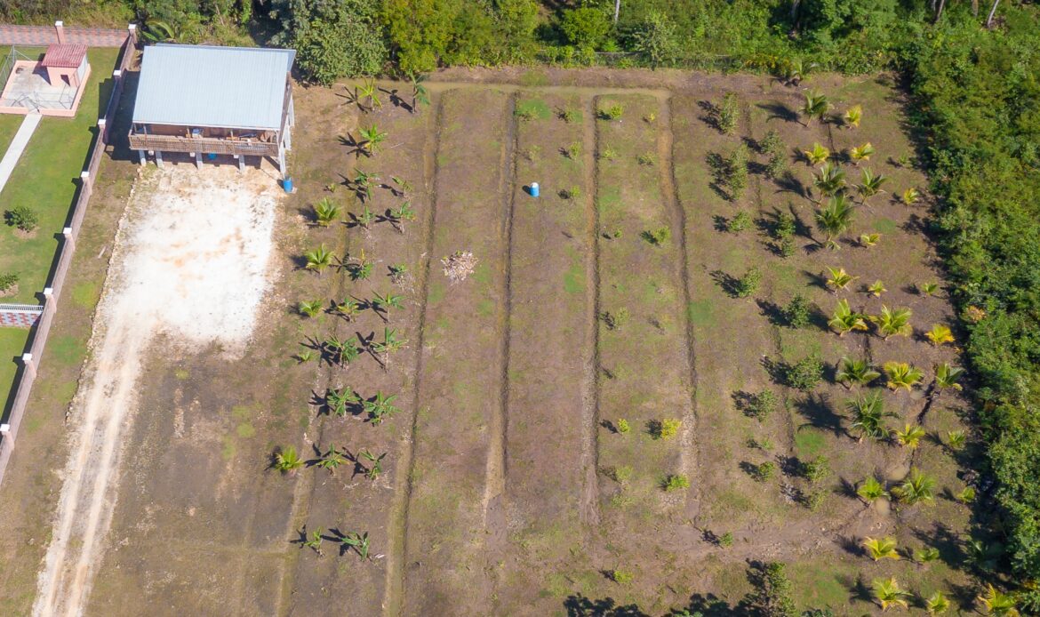 belmopan furnished rental airbnb vrbo house apartment vacation short term long mid