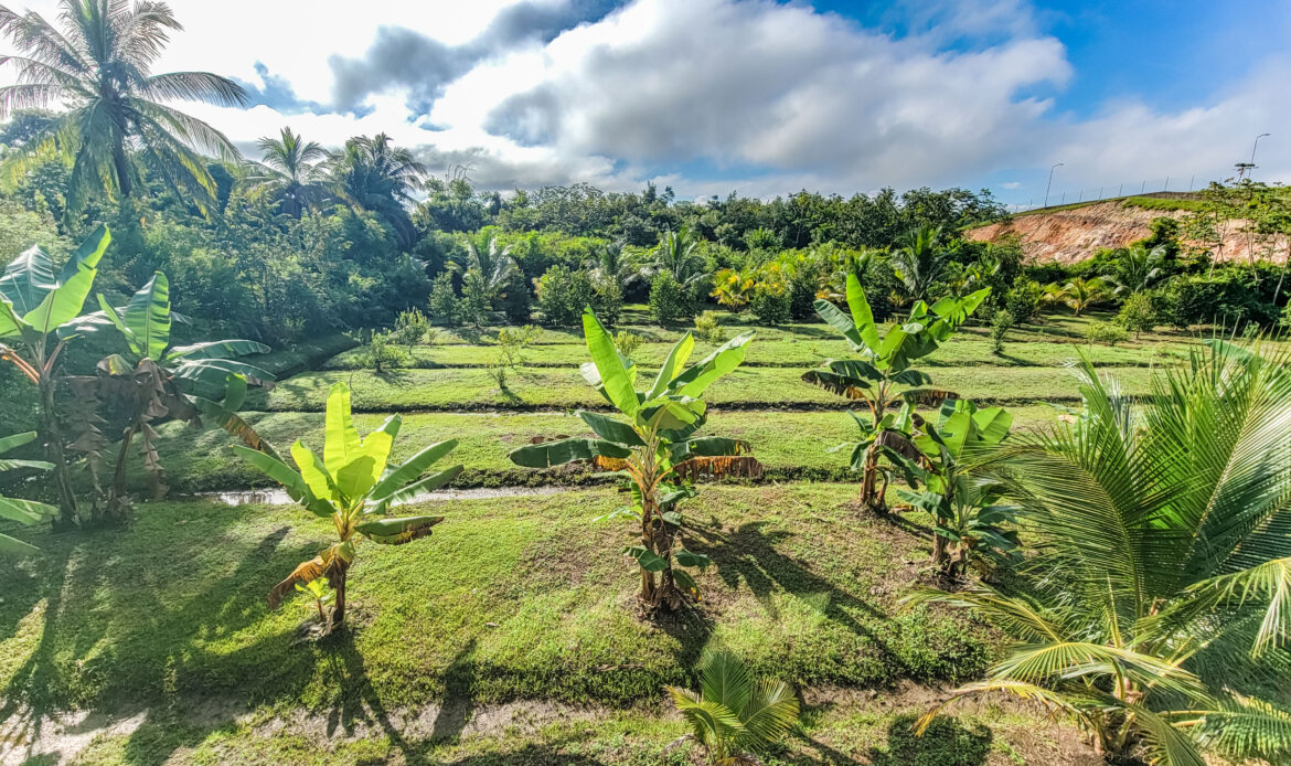 belmopan furnished rental airbnb vrbo house apartment vacation short term long mid