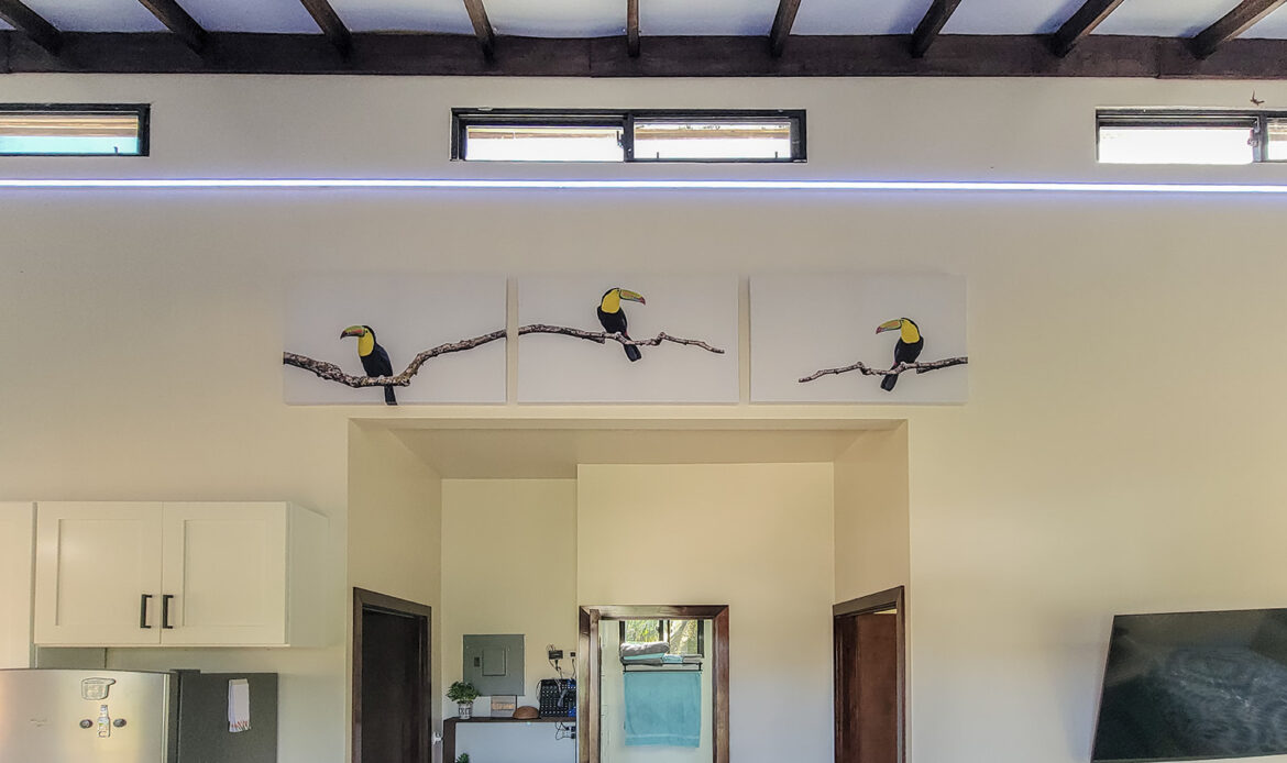 belmopan belize short mid term furnished rental vacation home house airbnb vrbo